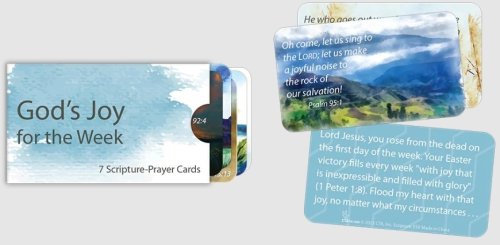 God's Joy for the Week Scripture Prayer Cards in Sleeve
