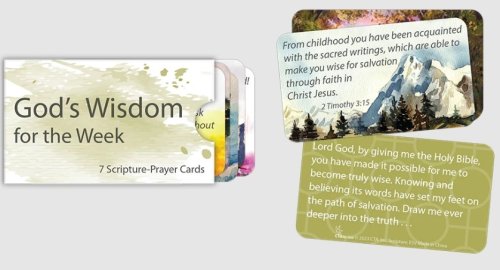 God's Wisdom for the Week Scripture Prayer Cards in Sleeve