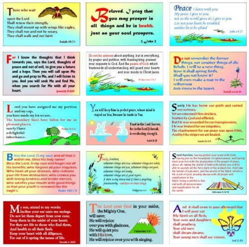 Scripture Memory Verse Cards Pack of 30