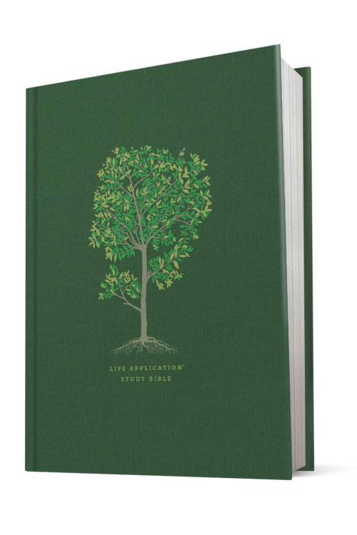 NLT Life Application Study Bible, Hardback, Third Edition, Large Print, Red Letter