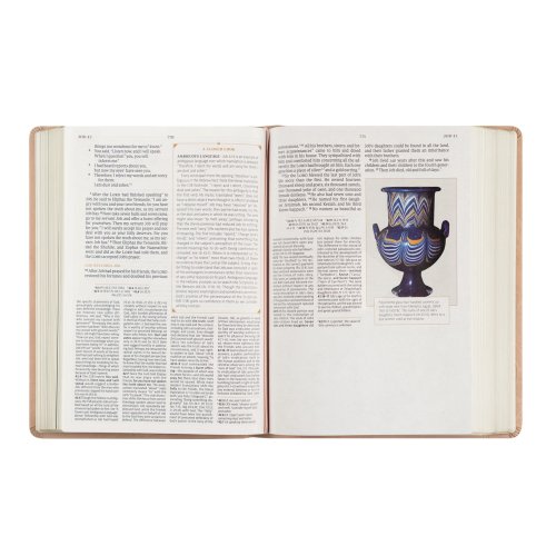 CSB Women's Study Bible: Sonora Theme