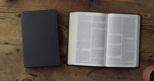 ESV Thinline Bible, Red Letter (Buffalo Leather, Deep Brown)