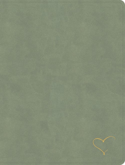 CSB Notetaking Bible, Revive Our Hearts Edition, Sage SuedeSoft LeatherTouch