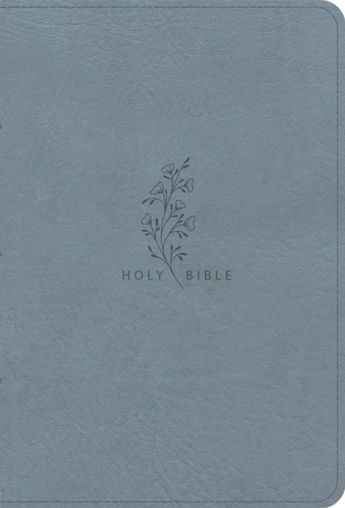 CSB Giant Print Reference Bible, Digital Study Ed., Blue