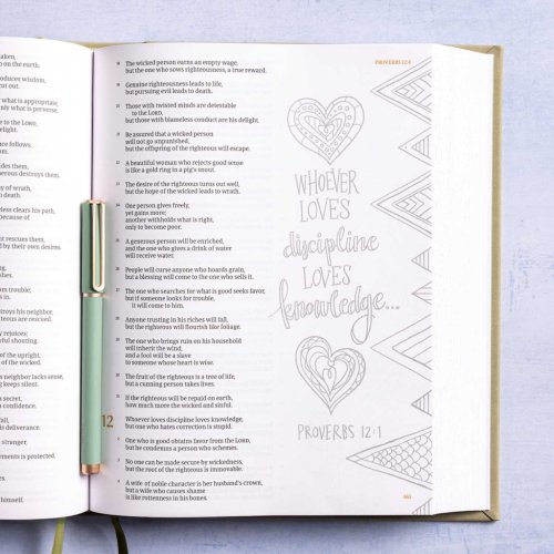 CSB Illustrator's Notetaking Bible, Large Print Edition