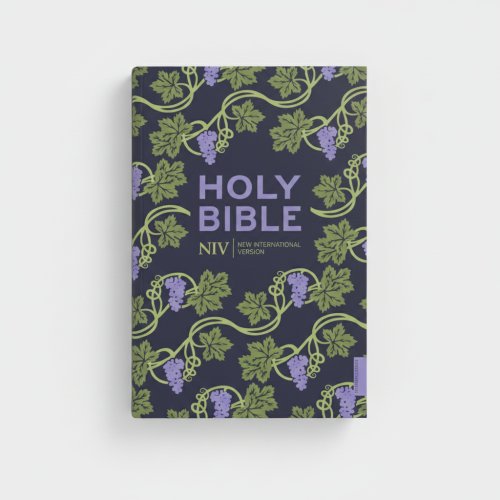 NIV Holy Bible, Purple, Paperback, Hodder Classic Design, Reading Plan, Anglicized Text, Topics Guide