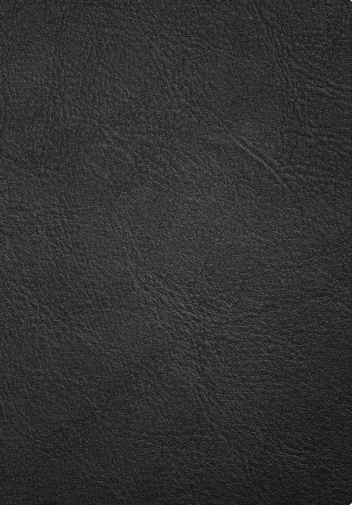 CSB Apologetics Study Bible, Revised & Updated, Black