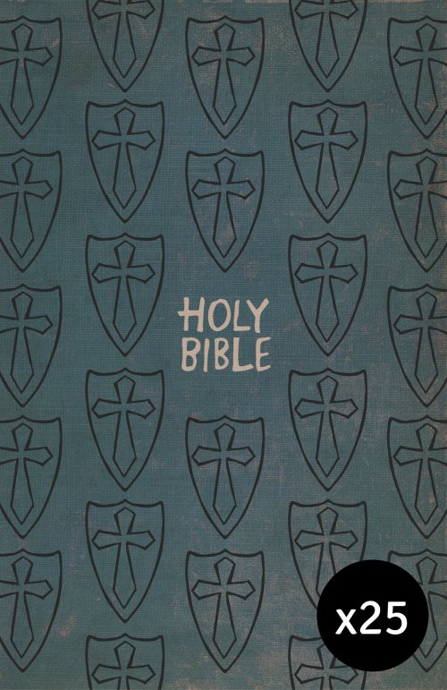 25 x International Children's Bible (ICB) Gift and Award Boys Bible