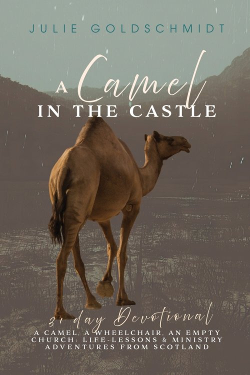 A Camel in the Castle
