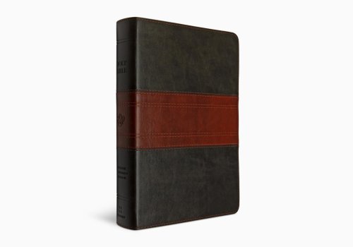 ESV Giant Print Personal Size Bible, Red Letter (TruTone, Forest/Tan, Trail Design)