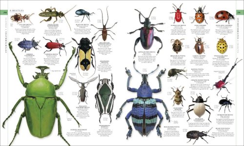 Natural History Book