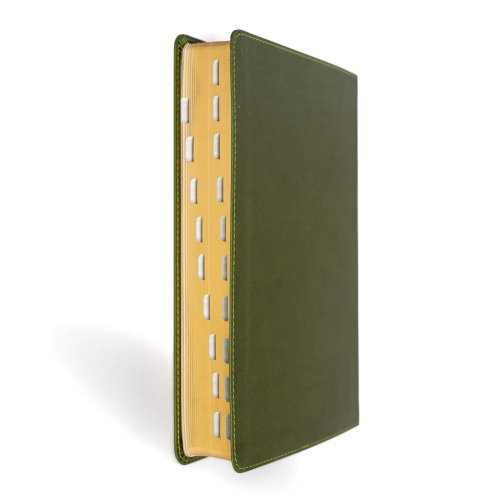 NASB Personal Size Giant Print Bible, Olive, Indexed