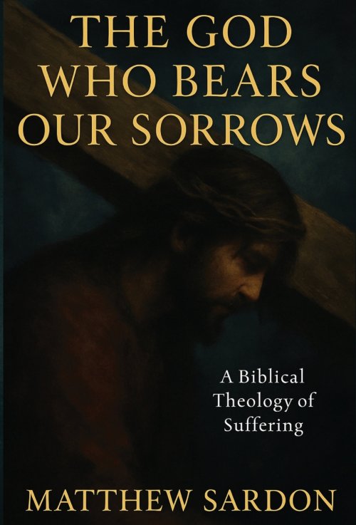 The God Who Bears Our Sorrows: A Biblical Theology of Suffering