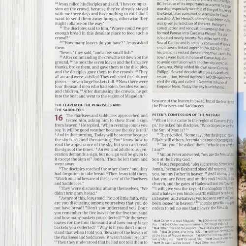 CSB Holy Land Illustrated Bible, Hardcover