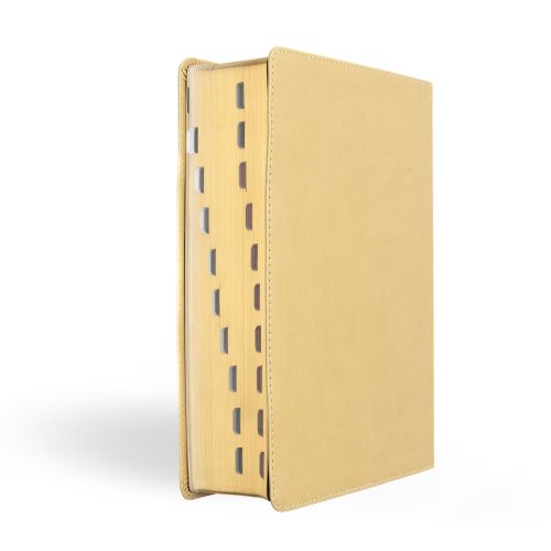 CSB Baker Illustrated Study Bible, Khaki, Indexed