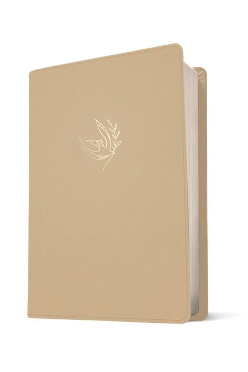 Message Devotional Bible (Leather-Look, Driftwood Dove)