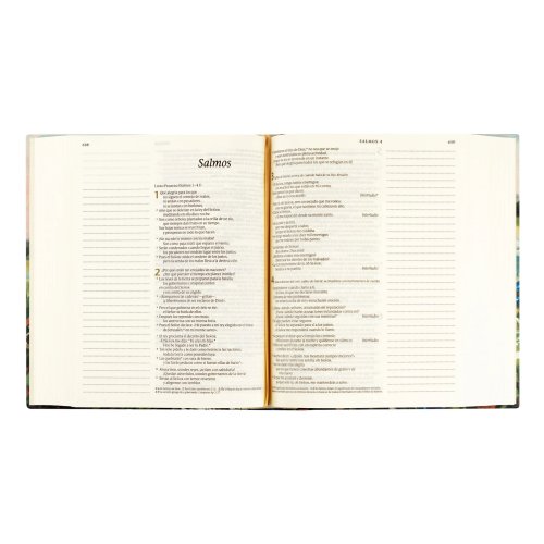 NTV Spanish Notetaking Bible: Coram Theme