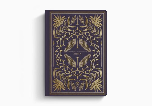 John - ESV Illuminated Scripture Journal