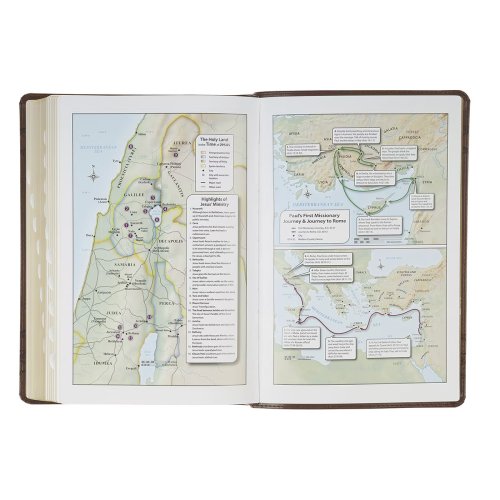 KJV Bible Giant Print Full-size Faux Leather, Crown of Thorns, Brown