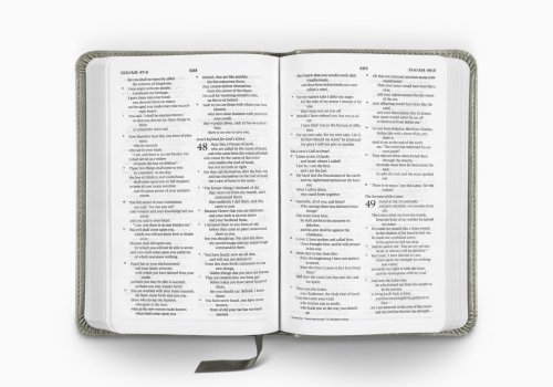 ESV Compact Bible (TruTone, Stone, Branch Design)