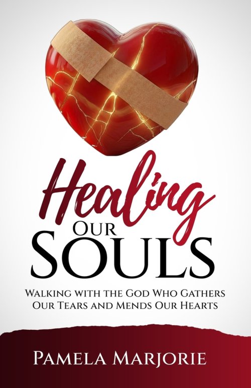 Healing Our Souls: WALKING WITH THE GOD WHO GATHERS OUR TEARS AND MENDS OUR HEARTS