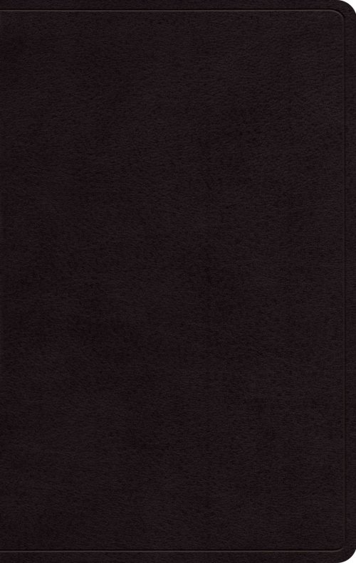 ESV Giant Print Personal Size Bible, Red Letter (Genuine Leather, Black)
