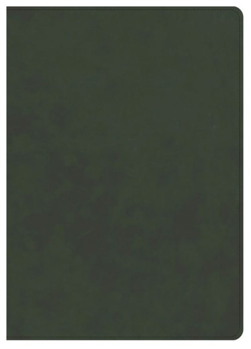 CSB Lumen Dei Bible, Lux Verbi: Verse-By-Verse Reference