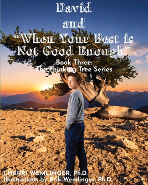 David and When Your Best is Not Good Enough