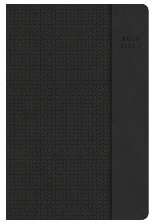 CSB Large Print Personal Size Reference Bible, Charcoal