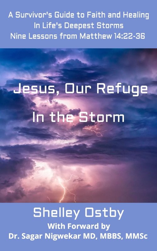 Jesus, Our Refuge in the Storm: : A Survivor's Guide to Faith and Healing in Life's Deepest Storms, Black and White edition