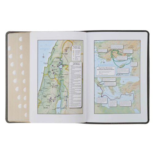 KJV Black and Gray Faux Leather King James Study Bible with Thumb Index