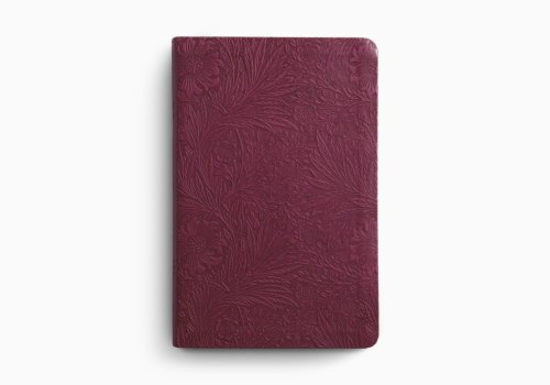 ESV Value Thinline Bible (TruTone, Raspberry, Floral Design)