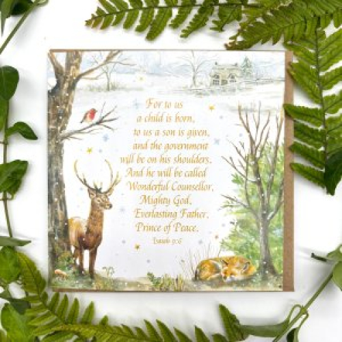Winter Wonderland Christmas Cards Pack of 5