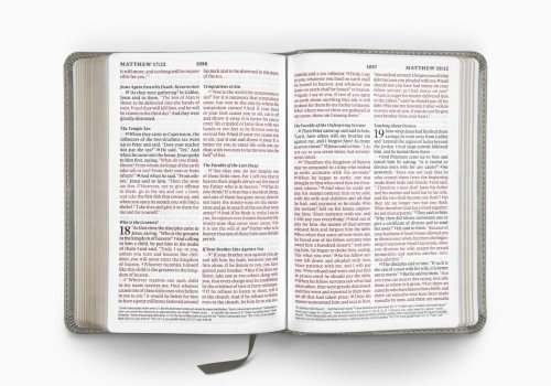 ESV Large Print Compact Bible, Red Letter (TruTone, Stone, Branch Design)
