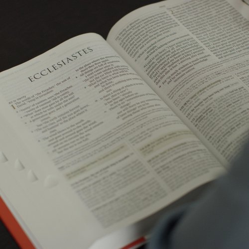 ESV Study Bible, Large Print, Thumb Indexed (Hardcover)