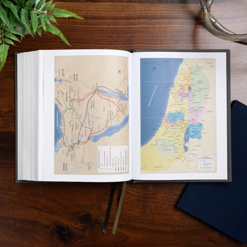 CSB Men of Character Bible, Revised and Updated, Charcoal Cloth Over Board