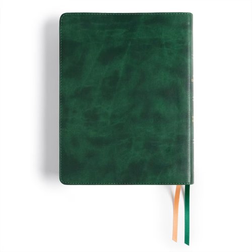 CSB Men of Character Bible, Revised and Updated, Forest LeatherTouch, Indexed