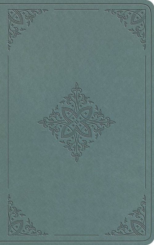 ESV Value Thinline Bible (TruTone, Paris Sky, Fleur-de-lis Design)
