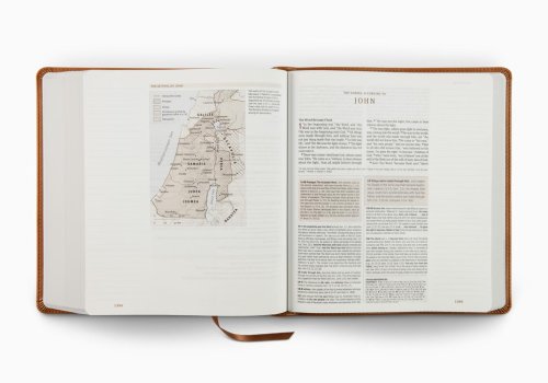 ESV Journaling Study Bible (TruTone, English Saddle, 1 Chronicles 28:9 Design)