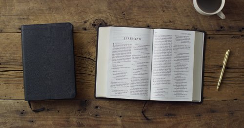 ESV Giant Print Personal Size Bible, Red Letter (Genuine Leather, Black)