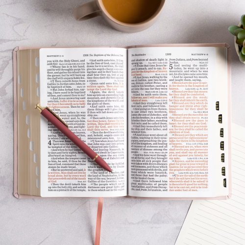 KJV Large Print Personal Size Reference Bible, Pink