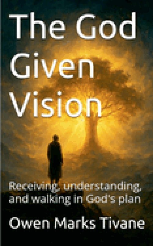 The God Given Vision: Receiving, Understanding, and Walking In God's Plan