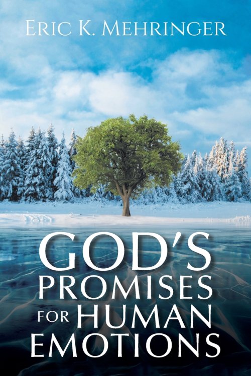 God's Promises for Human Emotions