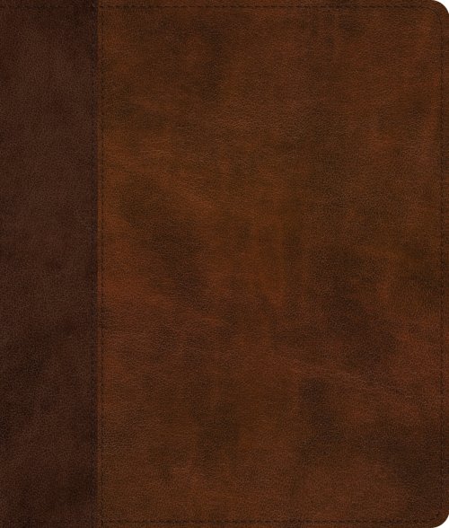 ESV Journaling Bible, Red Letter (TruTone, Brown/Tan, Timeless Design)