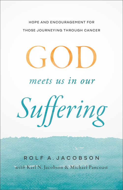 God Meets Us in Our Suffering