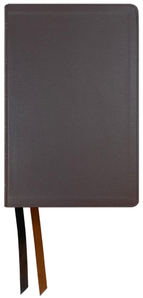 NASB 2020 Large Print Personal Size Bible, Brown Leather