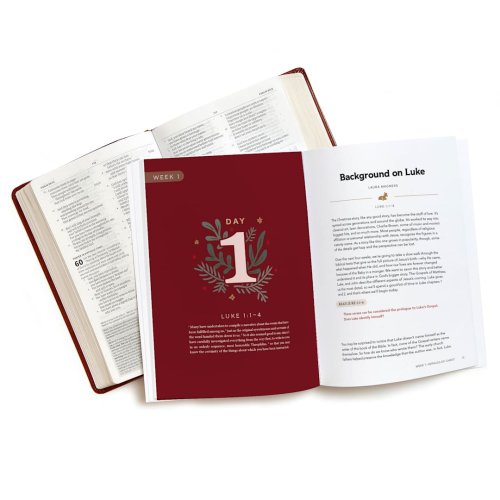 Behold the Savior Advent Bible Study Book