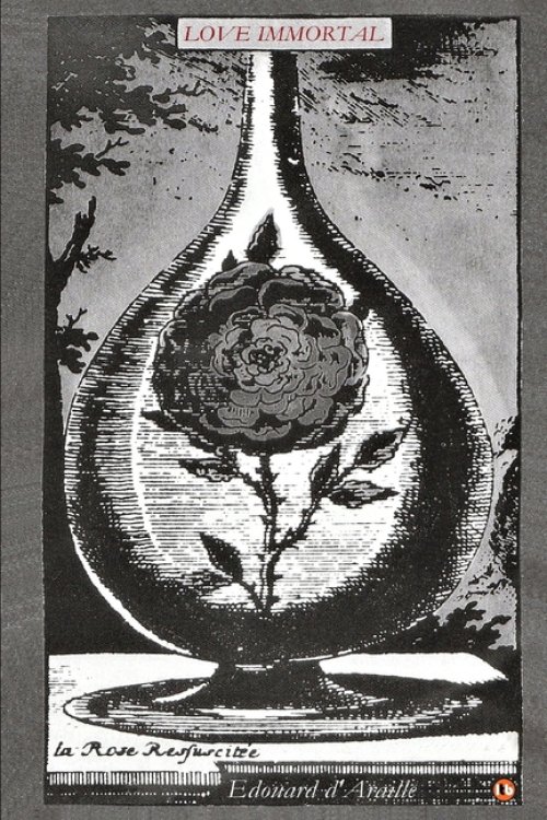 LOVE IMMORTAL: The Poetry of Love