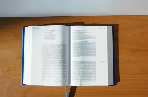 The Bible Recap 365-Day Chronological ESV Study Bible