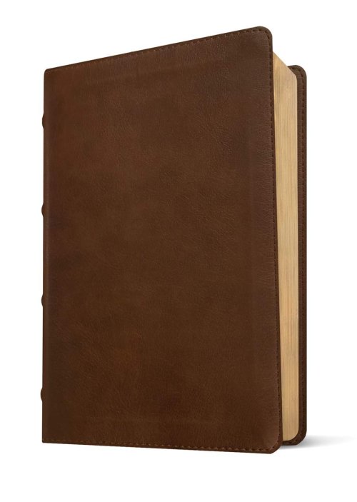 NLT Pastor's Bible, Filament Enabled (LeatherLike, Brown, Red Letter)